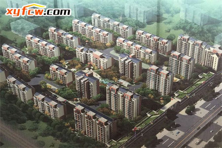 西外金利多·青华园3室2厅2卫南北